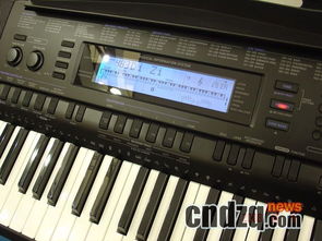 Casio新款電子琴蓄勢待發，官方圖片率先曝光
